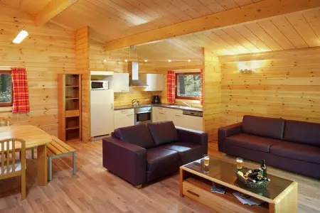 De Boshut, Chalet en Belgique avec Intérieur Bois - Photo 1