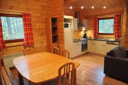 De Boshut, Chalet en Belgique avec Intérieur Bois - Photo 3