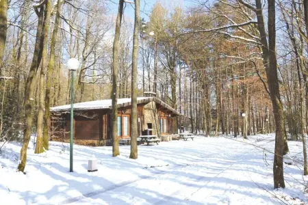 De Boshut, Chalet en Belgique avec Intérieur Bois - Photo 33