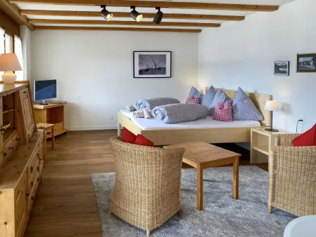 Casa Schumellins, Appartement 2 personnes à Laax - Photo 2