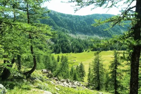Résidence du Lac de Castillon - Les Romarins 9, Charmante Villa à Castellane - Photo 37