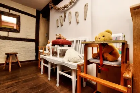 Gîte Tony, Maison de vacances à Vielsalm - Photo 10
