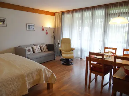 Am Dürrbach 5/512, Appartement 2 personnes à Engelberg - Photo 3