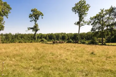 Appartement du Chateau, Appartement château Chaleix forêt - Photo 19