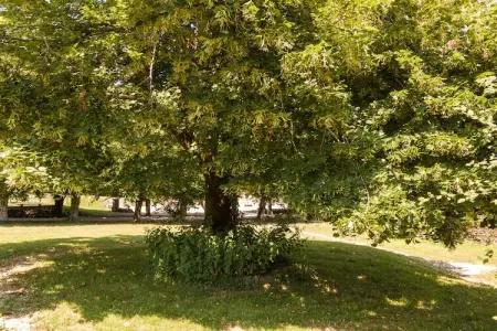 Le Grand Gite du Chateau, Gîte à Chaleix près forêt et lac - Photo 32