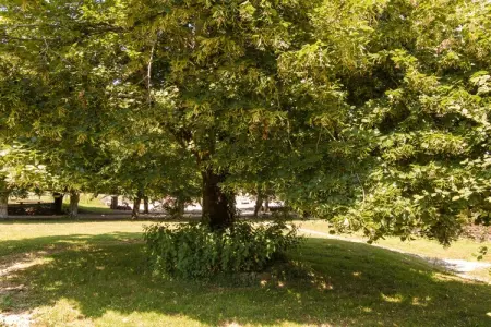 La Petite Maison, Gîte à Chaleix près de forêt et lac - Photo 16