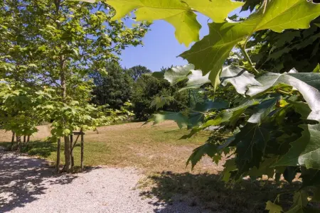 La Petite Maison, Gîte à Chaleix près de forêt et lac - Photo 17