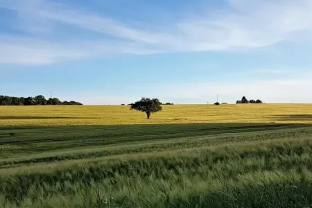 La Petite Maison, Gîte à Chaleix près de forêt et lac - Photo 29