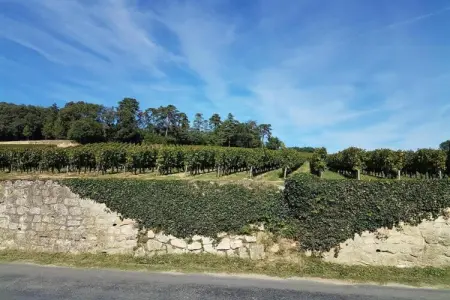 La Petite Maison, Gîte à Chaleix près de forêt et lac - Photo 33