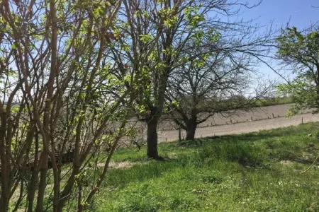La Petite Maison, Gîte à Chaleix près de forêt et lac - Photo 36