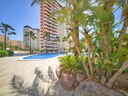 Coral Beach 02, Appartement 4 personnes à Calpe Calp - Photo 11