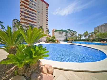 Coral Beach 02, Appartement 4 personnes à Calpe Calp - Photo 21