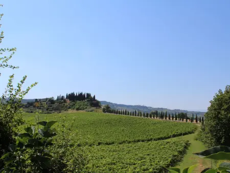 Vineyard View, Villa 10 personnes à San Gimignano - Photo 27