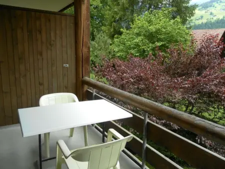 Ammerten A17, Appartement 2 personnes à Lenk - Photo 3