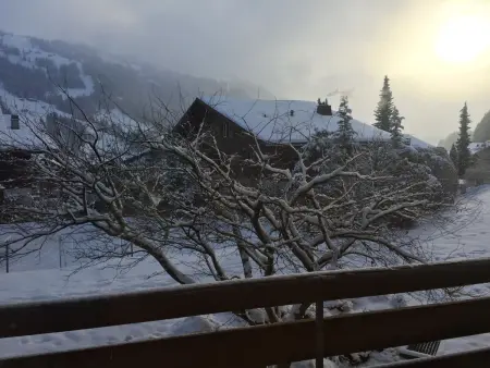 Ammerten A17, Appartement 2 personnes à Lenk - Photo 6