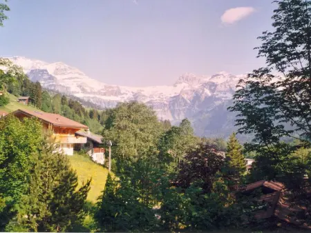 Iris, Appartement 4 personnes à Lenk - Photo 2