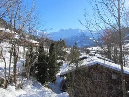 Iris, Appartement 4 personnes à Lenk - Photo 3