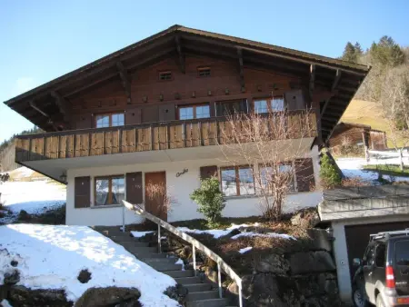 Arnika # 1, Appartement 3 personnes à Lenk - Photo 1