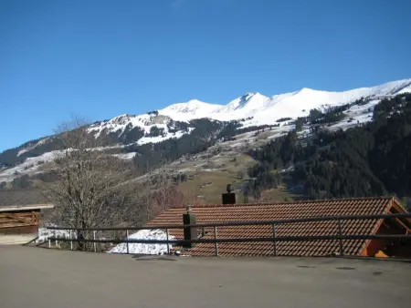 Arnika # 1, Appartement 3 personnes à Lenk - Photo 3