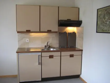 Arnika # 1, Appartement 3 personnes à Lenk - Photo 5