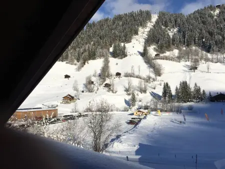 Chalet Lenk Dänk App. 6, Appartement 4 personnes à Lenk - Photo 3