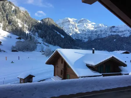 Chalet Lenk Dänk App. 6, Appartement 4 personnes à Lenk - Photo 4