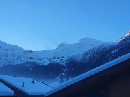 Chalet Lenk Dänk App. 6, Appartement 4 personnes à Lenk - Photo 5