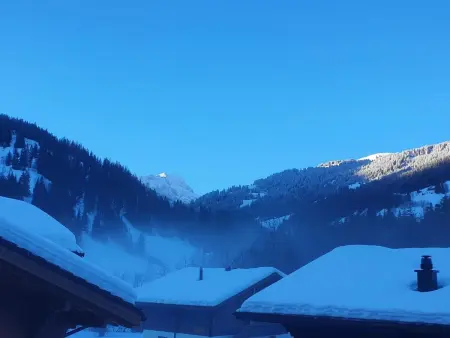Chalet Lenk Dänk App. 6, Appartement 4 personnes à Lenk - Photo 6