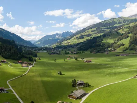 Trachsel-Huus, Appartement 5 personnes à Lenk - Photo 3