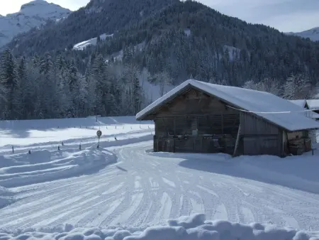 Trachsel-Huus, Appartement 5 personnes à Lenk - Photo 6