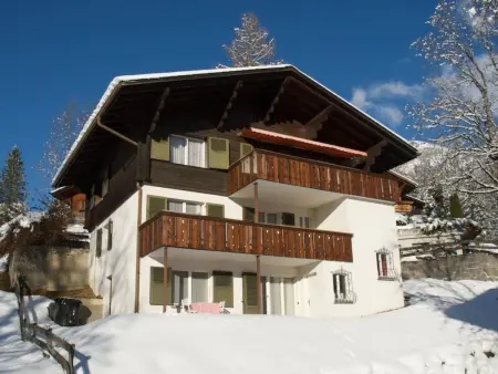 Pony 2-Bettwohnung, Appartement 2 personnes à Lenk - Photo 2