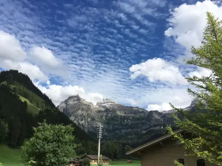 Rothenbach, Appartement 6 personnes à Lenk - Photo 3