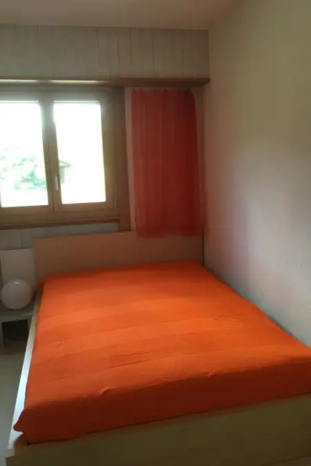 Rothenbach, Appartement 6 personnes à Lenk - Photo 13