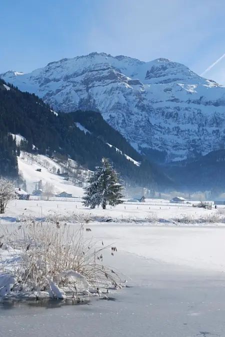 Teleboy, Appartement 4 personnes à Lenk - Photo 3