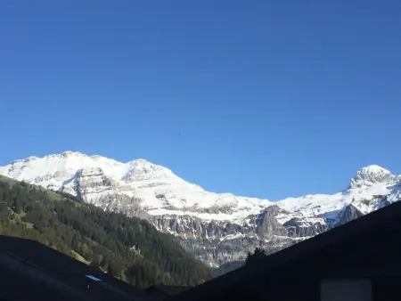 Morion, Appartement 4 personnes à Lenk - Photo 10