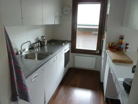 Morion, Appartement 4 personnes à Lenk - Photo 24