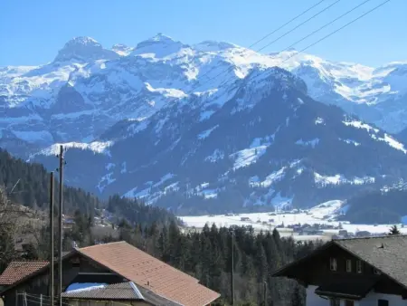 Chalet Pletschen, Appartement 6 personnes à Lenk - Photo 1