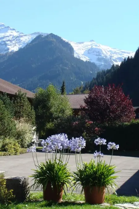 Gwunderstübli, Appartement 2 personnes à Lenk - Photo 1