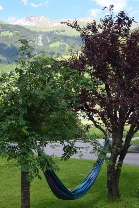 Gwunderstübli, Appartement 2 personnes à Lenk - Photo 8
