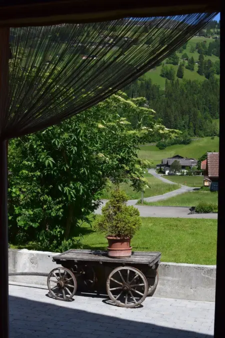 Gwunderstübli, Appartement 2 personnes à Lenk - Photo 9