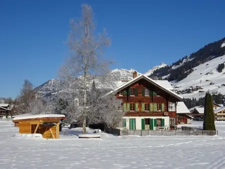 Lischenhaus - Strubel, Appartement 5 personnes à Lenk - Photo 1