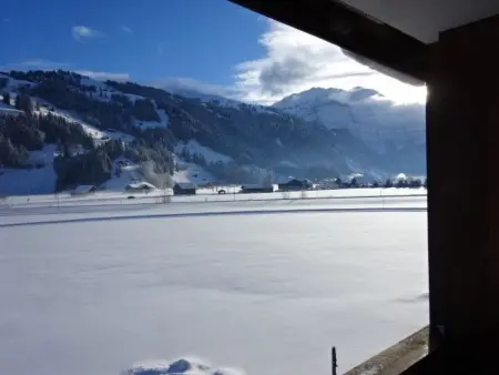 Lischenhaus - Strubel, Appartement 5 personnes à Lenk - Photo 5