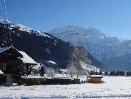 Lischenhaus - Strubel, Appartement 5 personnes à Lenk - Photo 6