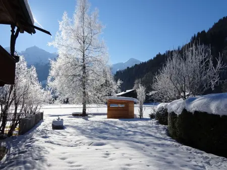 Lischenhaus - Strubel, Appartement 5 personnes à Lenk - Photo 7
