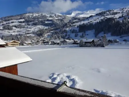 Lischenhaus - Strubel, Appartement 5 personnes à Lenk - Photo 8