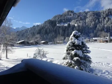 Lischenhaus - Strubel, Appartement 5 personnes à Lenk - Photo 9