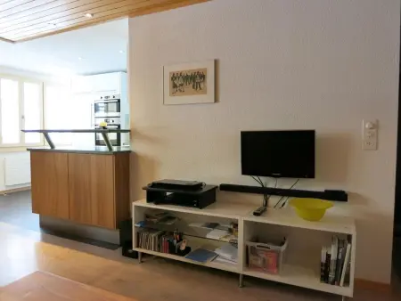 Lischenhaus - Strubel, Appartement 5 personnes à Lenk - Photo 14