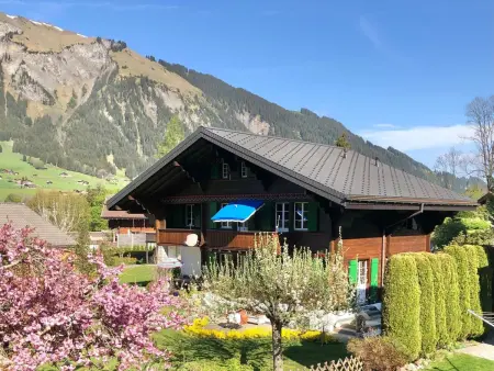 Träumli, Appartement 2 personnes à Lenk - Photo 1