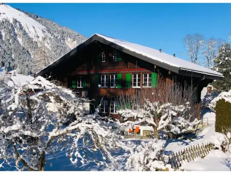 Träumli, Appartement 2 personnes à Lenk - Photo 4