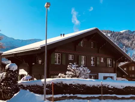 Träumli, Appartement 2 personnes à Lenk - Photo 6